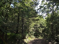 nte Rinatu-20110615 013